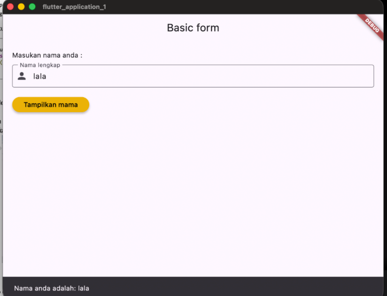 Hasil Running Basic Form TextField