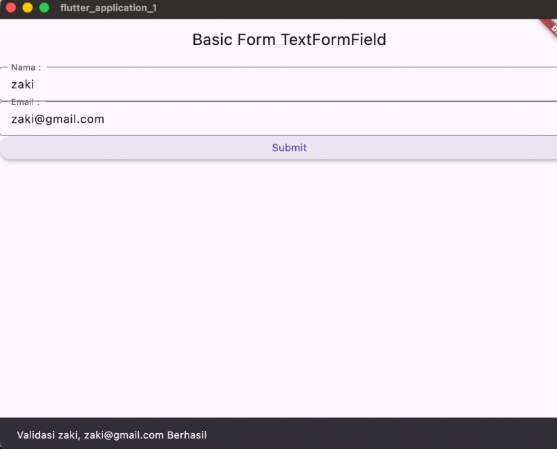 Hasil Validasi TextFormField Berhasil